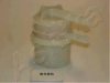 ASHIKA 30-05-512 Fuel filter